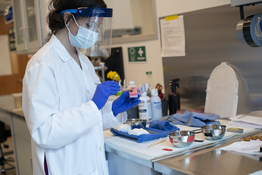 Scientist working in lab